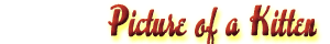 Kitten